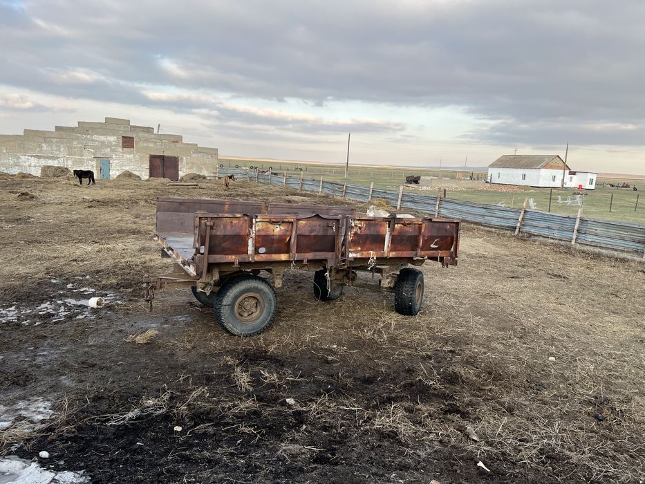 Продается хозяйство