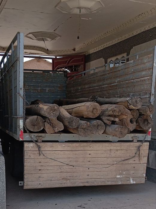 Борт сотилади факат кузиб