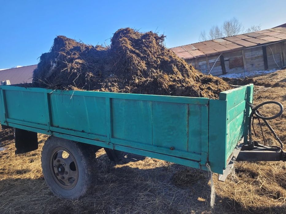 Продам Навоз сочный