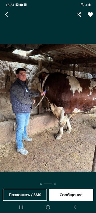 Продаётся кабура