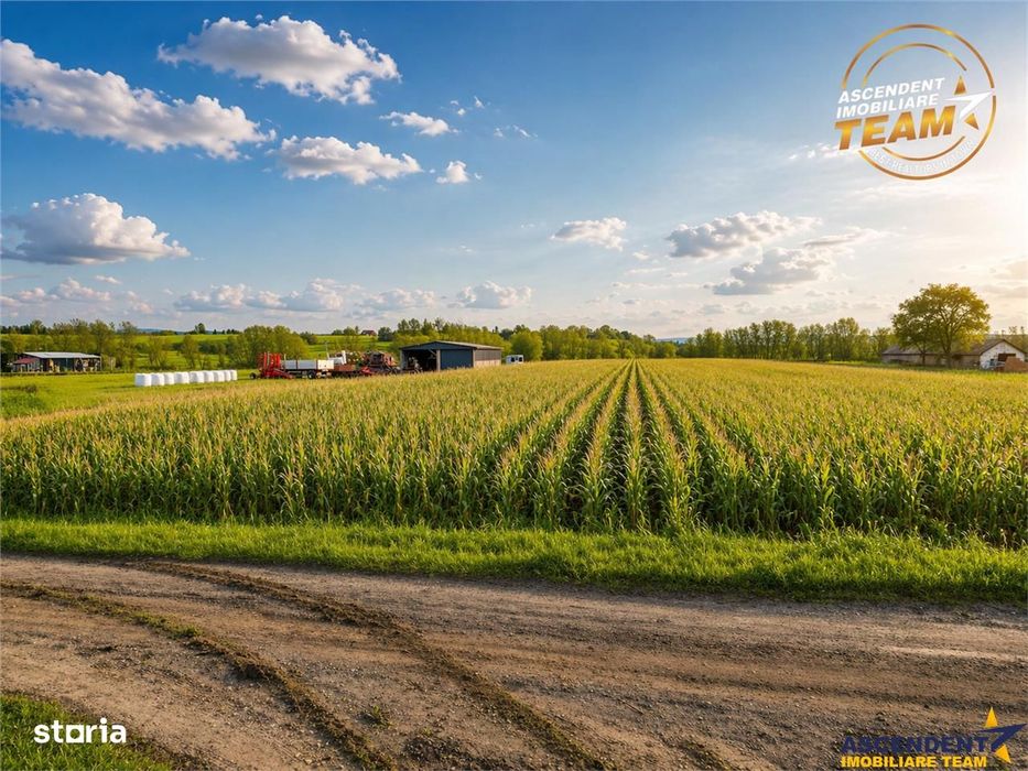 Film! Teren de 5.800 mp, Dobolii de Jos, Covasna