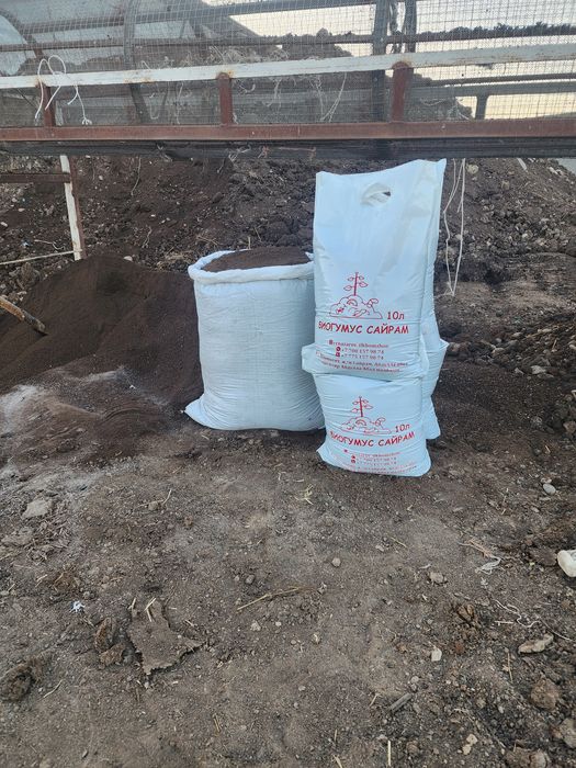 Биогомус сайрам 1