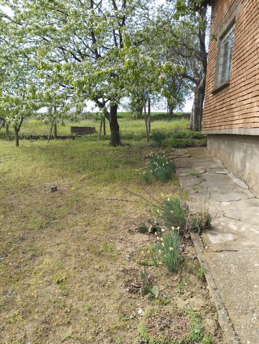 Продава се Къща в Русе, в.з. Русофили - 20 кв.м за 1725 €/кв.м - Снимка #3