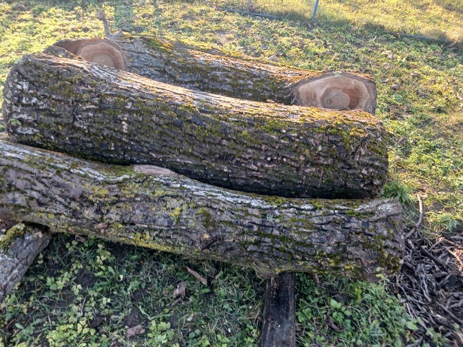 Vând lemn nuc aprox 10mc