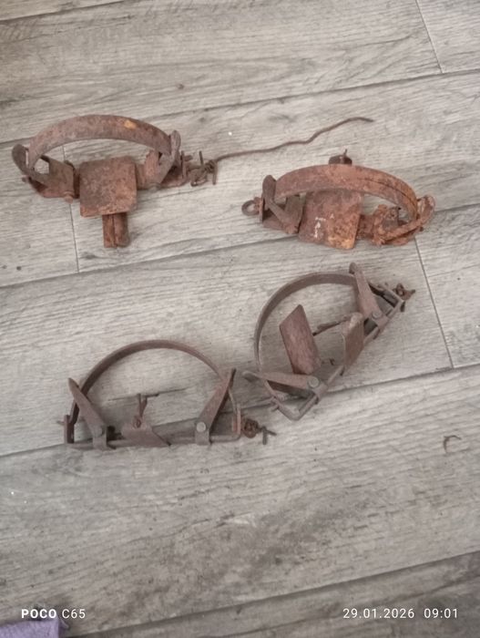 Продаются капканы на хищника.