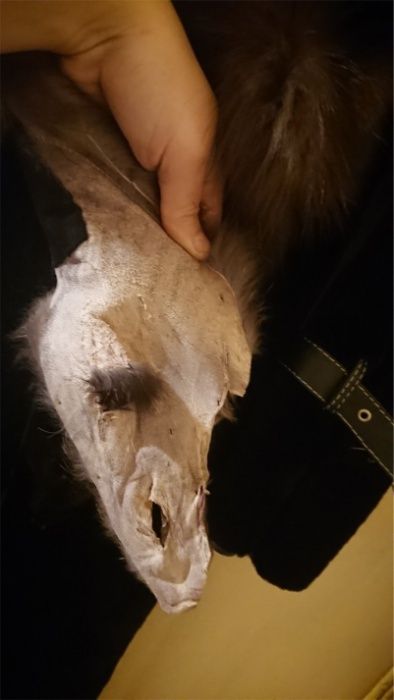 Натуральная шуба из лисы-чернобурки. Италия