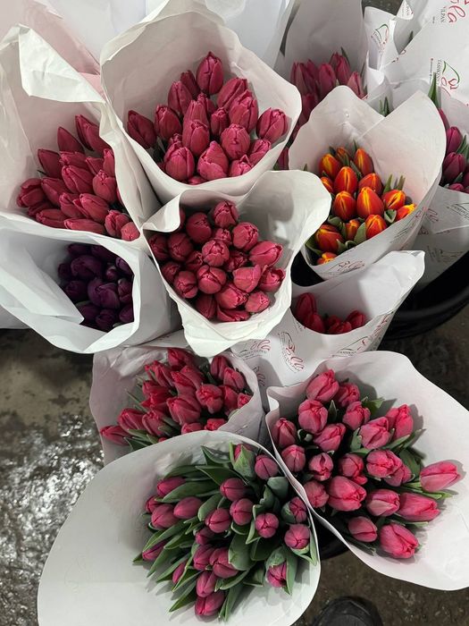 Цветы голландия .