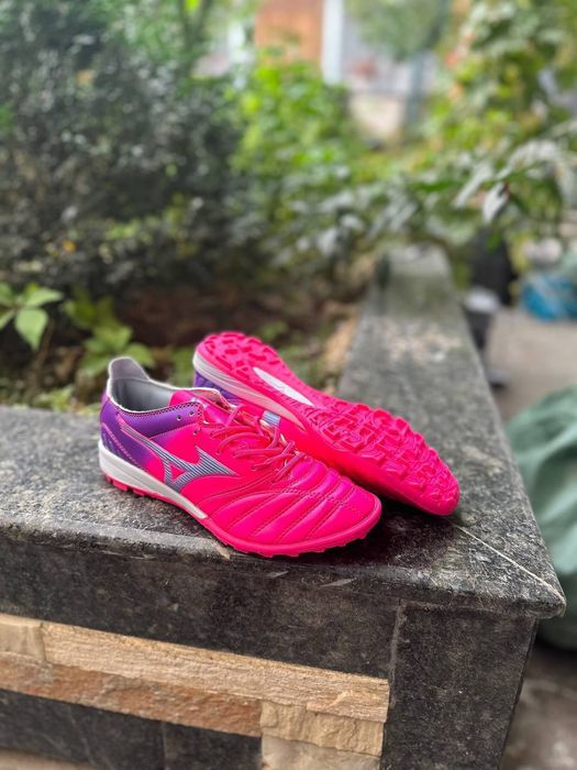 Сараканошка Размеры