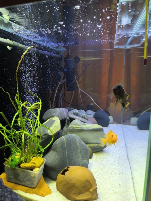 Продам аквариум 170 литров