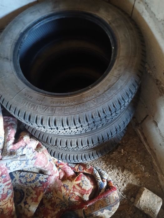 Ниваға дөңгелектер сатылады!