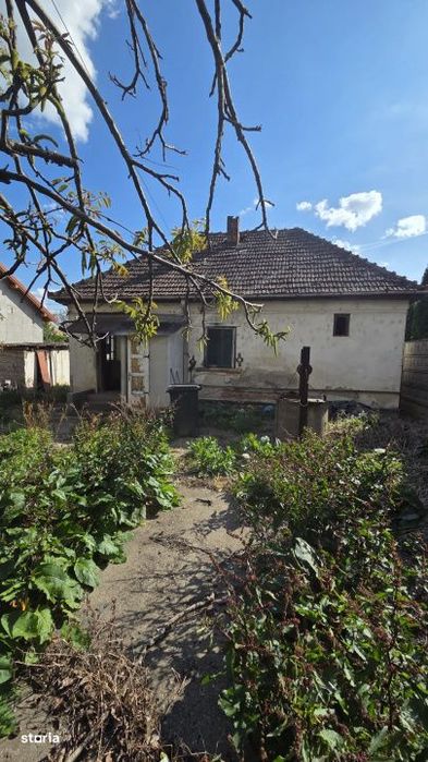 Teren cu casa demolabila– Str. Dariu Pop