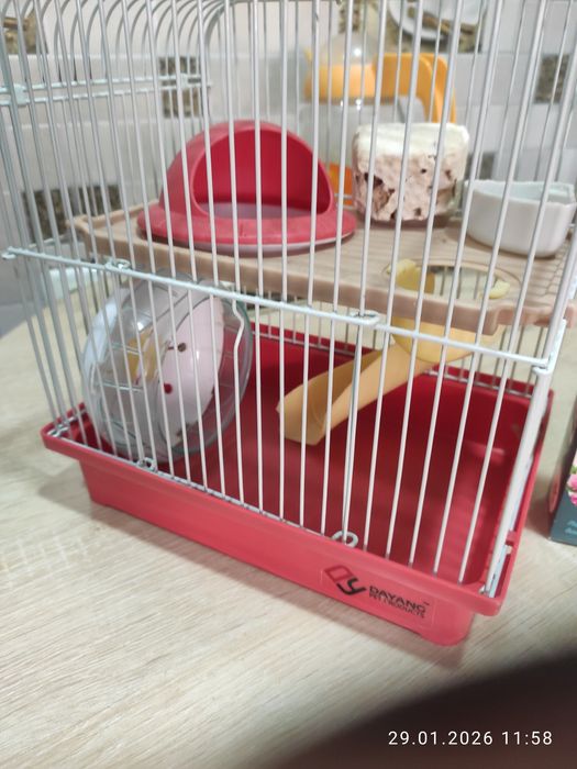 Клетка для джунгарика с аксессуарами