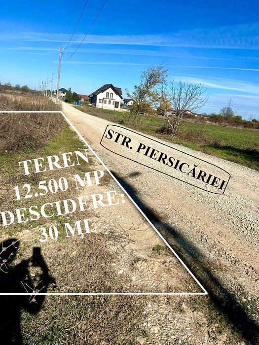 Teren Intravilan Periș – 12.500 mp - Direct Proprietar - Oportunitate Investiție