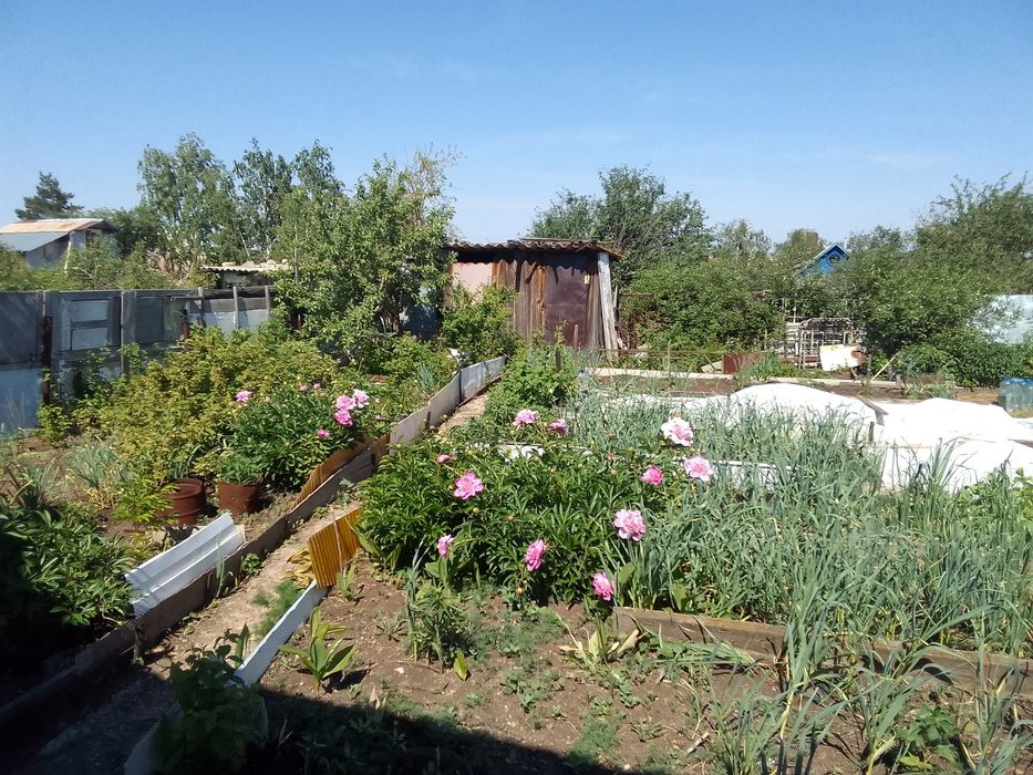 Дачный участок (дача)