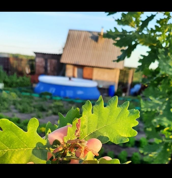 Продам дачу в обществе ,,Легенда,, оз.Пё