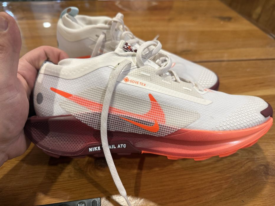 Nike Pegasus Trail 5 Gore-Tex