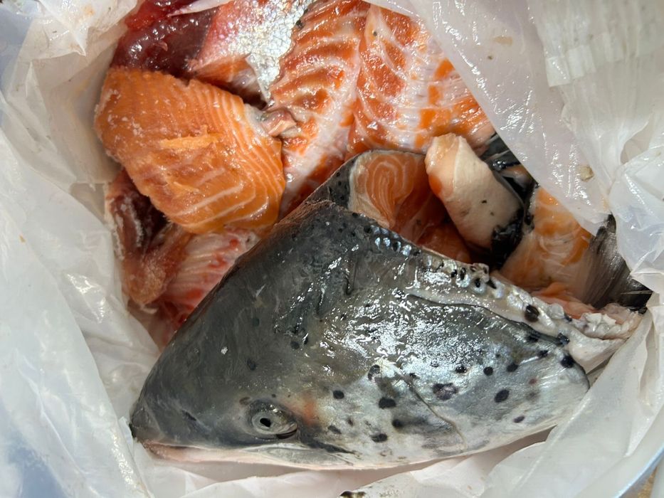 Суп набор семги.