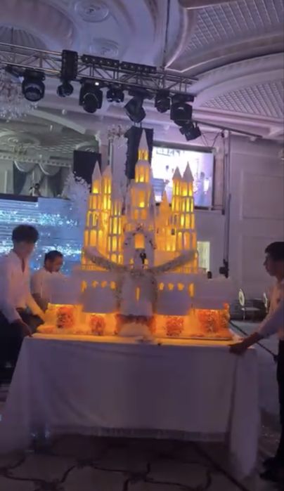 Шоу торт свадьба