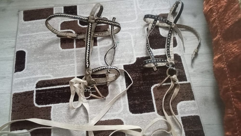 Жүген сатам . Продам уздечку