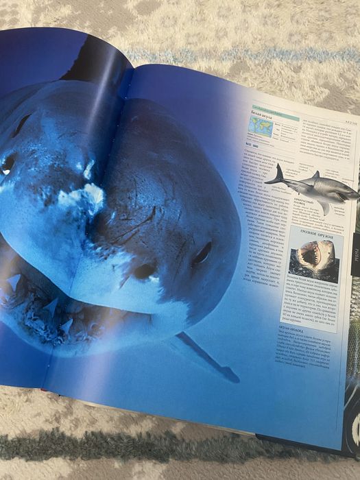 Книга о животных с иллюстрациями