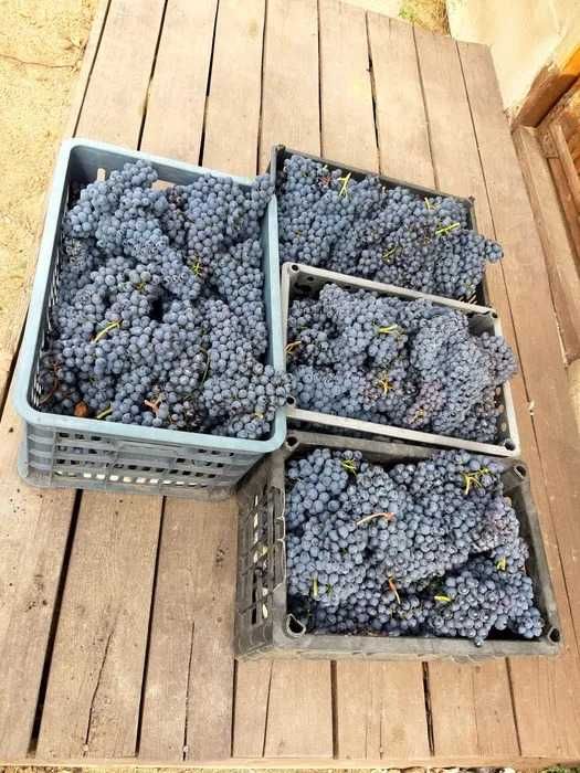 Продам дачу 18 соток в СТ Борки
