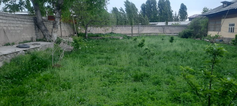 Yer sotiladi 5  sotix