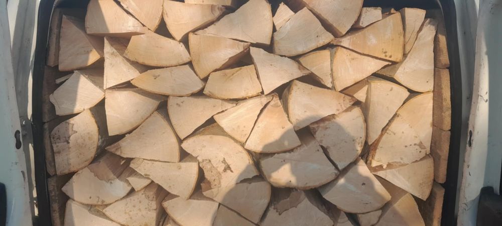 Lemne uscate și verzi esență tare Fag Carpen