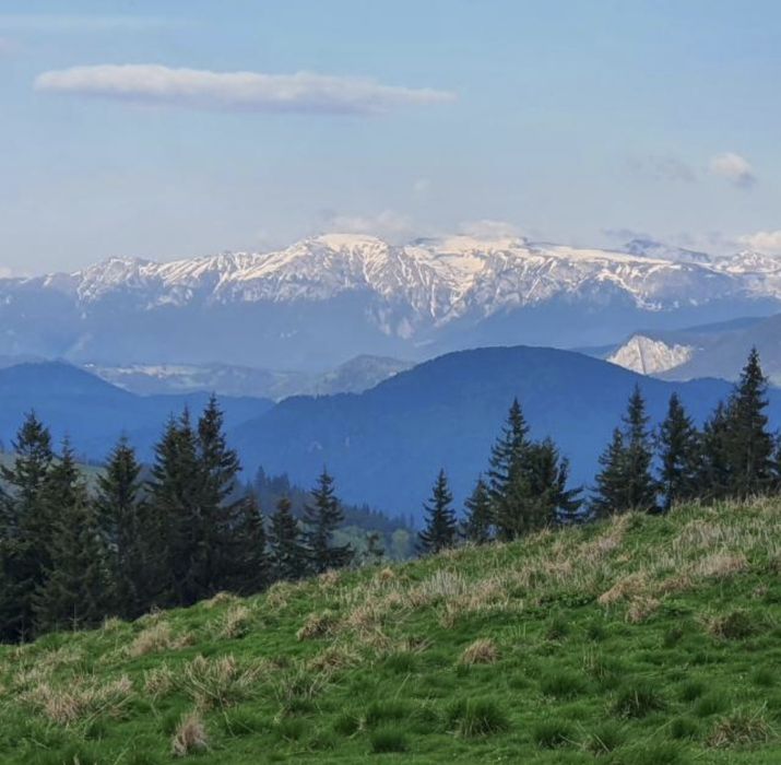 Teren izolat munte Leresti, Arges