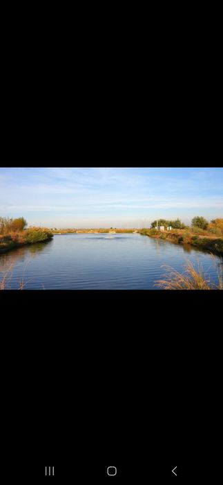 Продаётся рыбхоз в чиназе