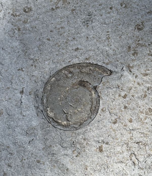 Masa din piatra naturala pentru living + ceas de perete