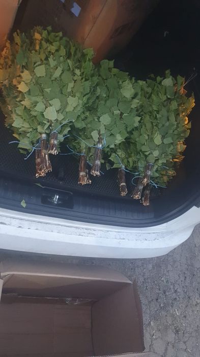 Березовые веники хорошего качества