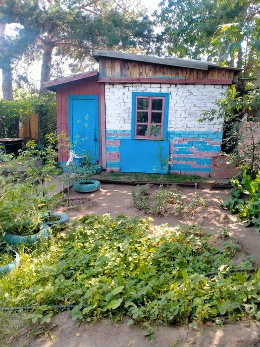 Продам дачу мелиаратор