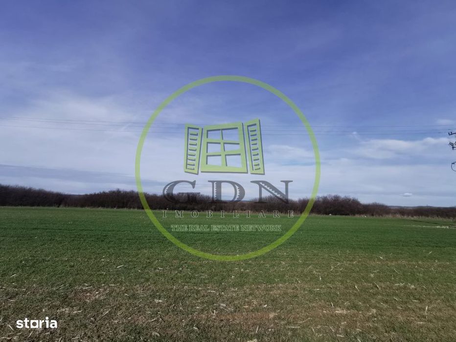 Teren extravilan de vanzare in Sacadat, 21.496 mp, cu deschidere de 42