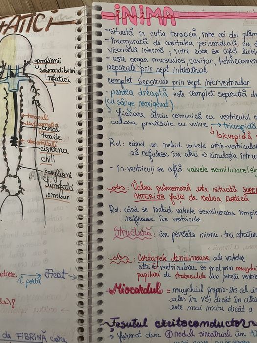 Materiale bac si admitere medicina