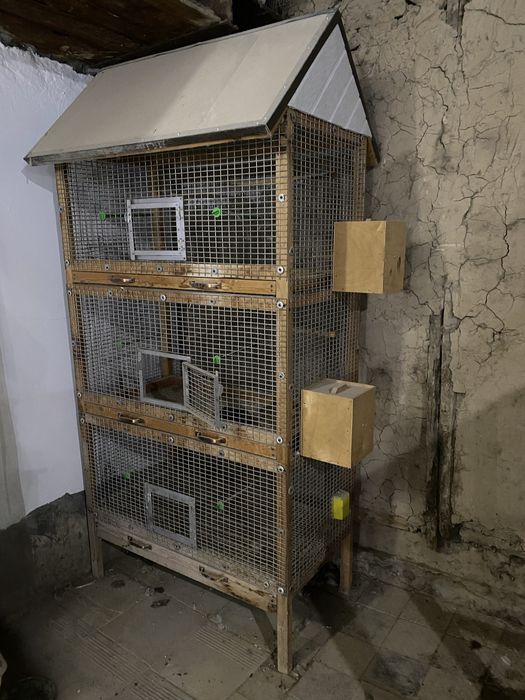 Qafas Sotiladi srochna