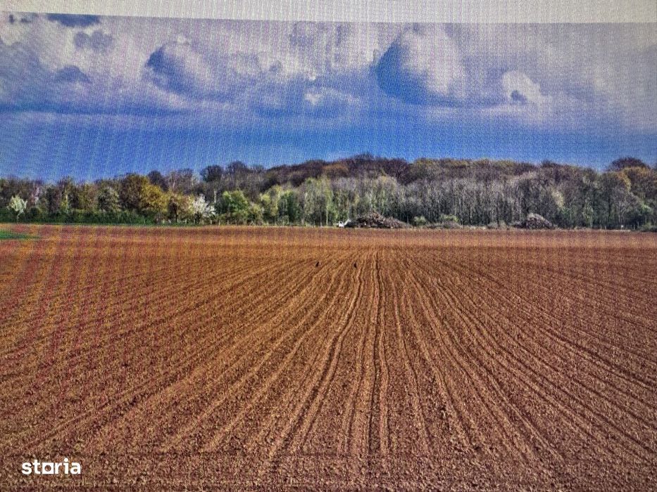 Teren agricol de vânzare