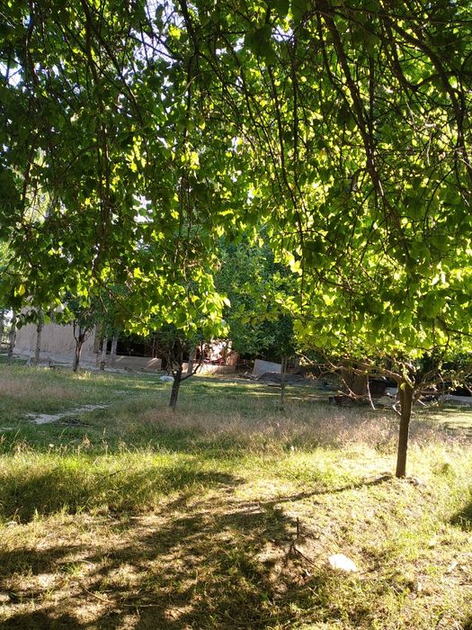 Продается дом 29 соток .Бостанлыкский район таваксай