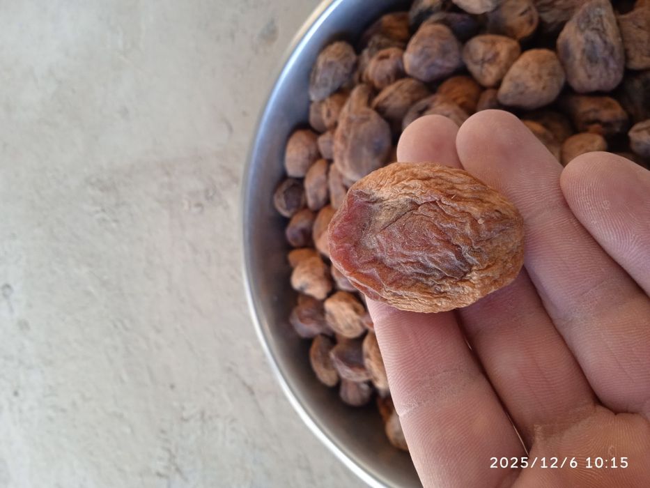 Orik qoqi 100 foiz tabiyy