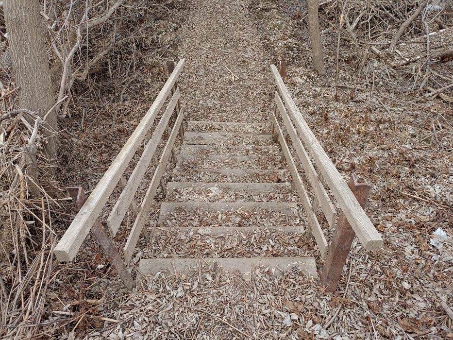 Дача на берегу Ишима