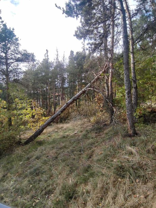 Продава се Земеделски имот в Велинград -  кв.м за 34560 €/дка - Снимка #2