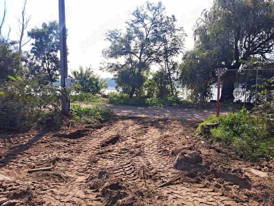 Ocazie! Ilganii de Jos, Nufaru, Intravilan, liber, pe malul Dunarii