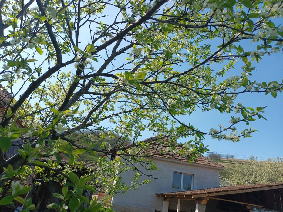 Casă de vânzare, Comuna Vințu De Jos, Sat Virpăr (Codrișor)