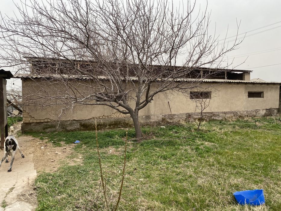 Продается дача, чистый воздух