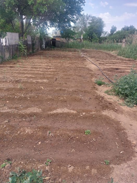 Продам дачу,  бам  ПК восток.