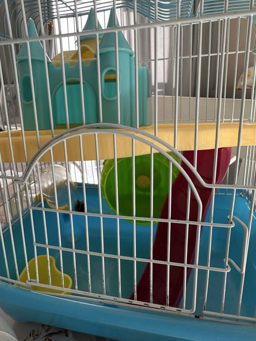 Клетка хомячка, шар хомячка