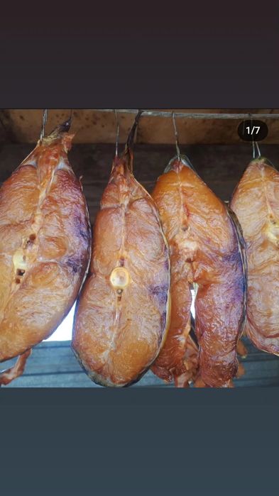Капченная рыба аа