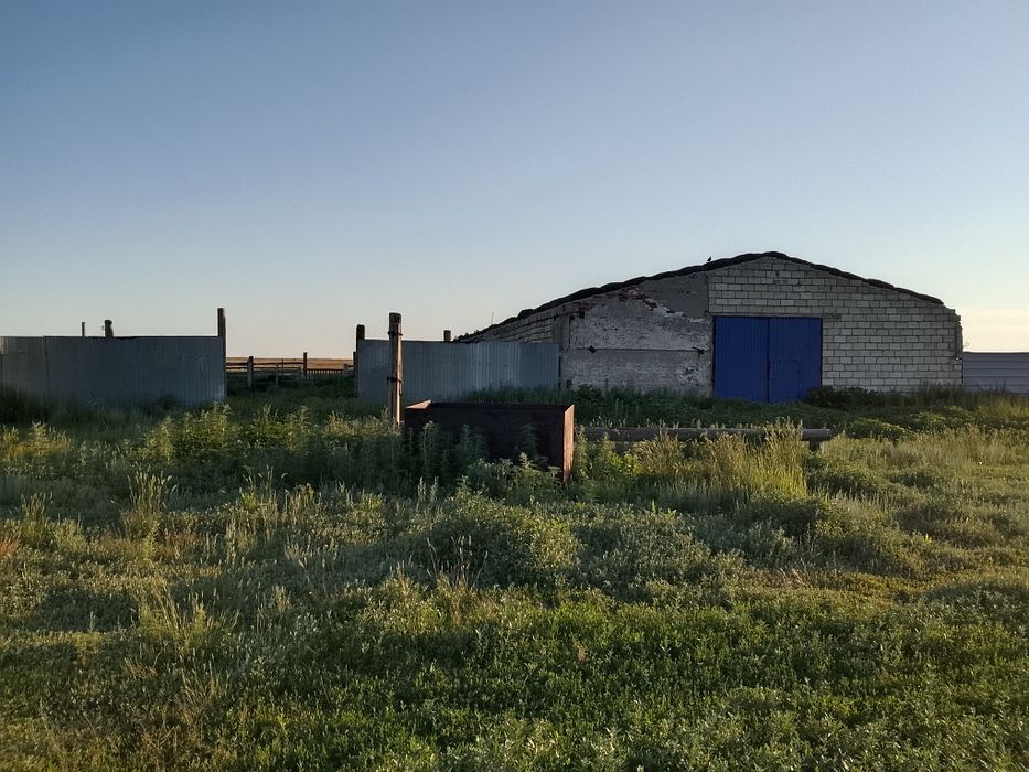 Продам крестьянское хозяйство