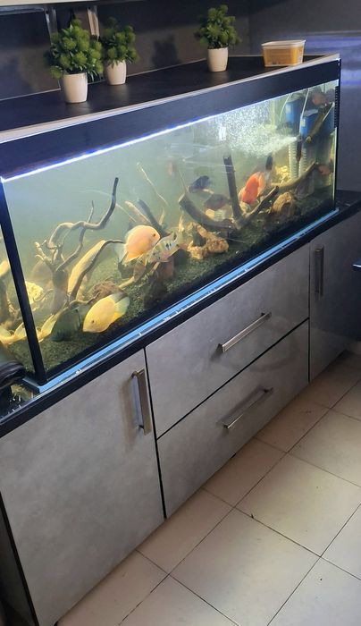Продам аквариум в сборе