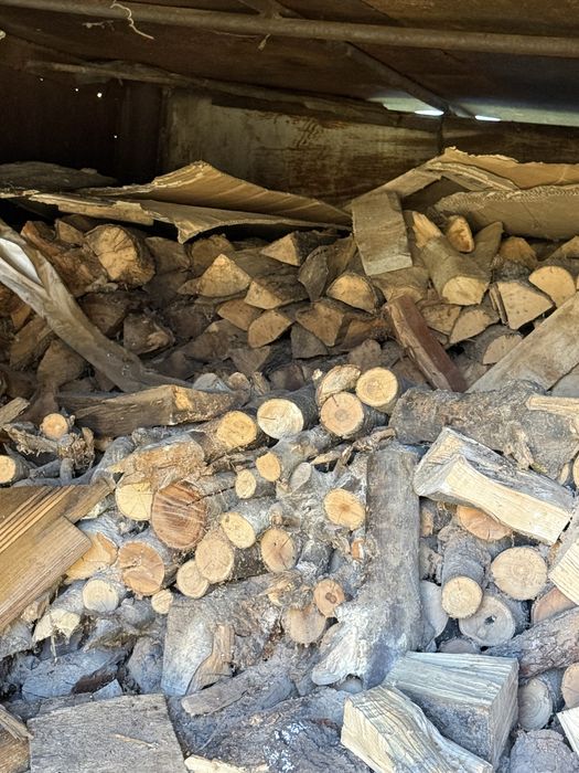 Vand lemne foc uscate