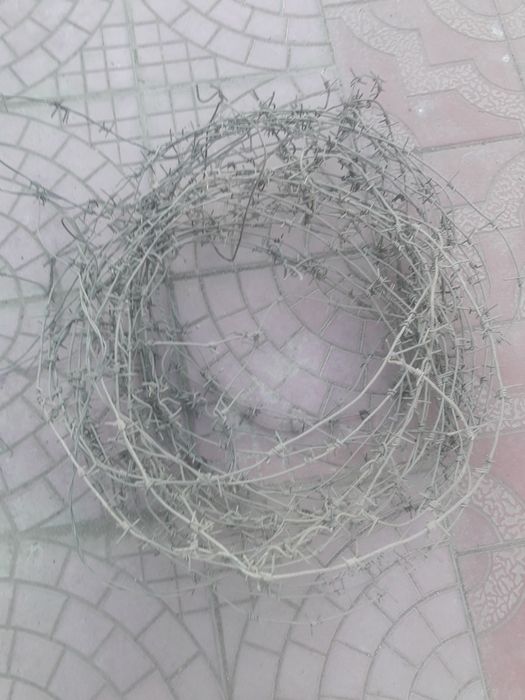 Продам колючую проволоку.